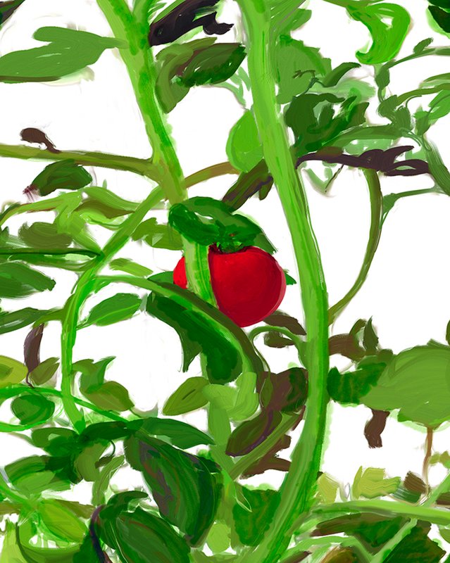 Alex Fischer, Vii Detail, 2015-02-26